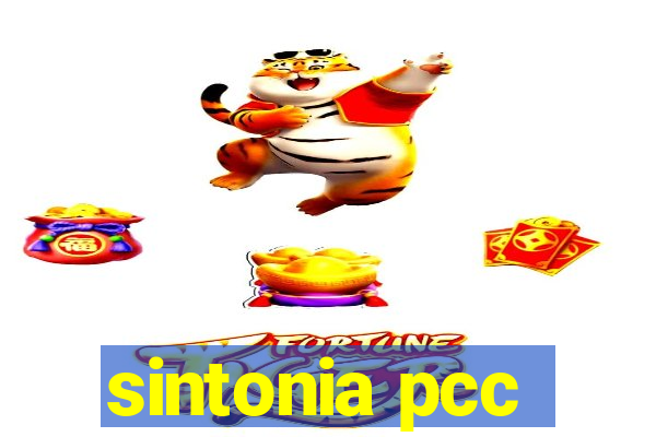 sintonia pcc